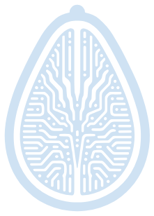 Avoc Digital